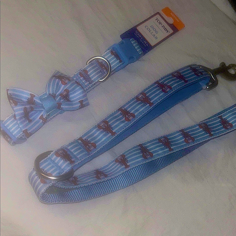 Top Paw Lobster Collar w/bow (M) and Matching Leash